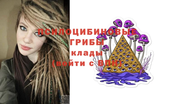 герыч Каменногорск