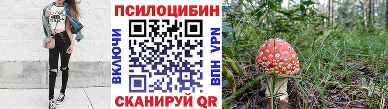 Псилоцибиновые грибы ЛСД  наркошоп  Новый Уренгой 